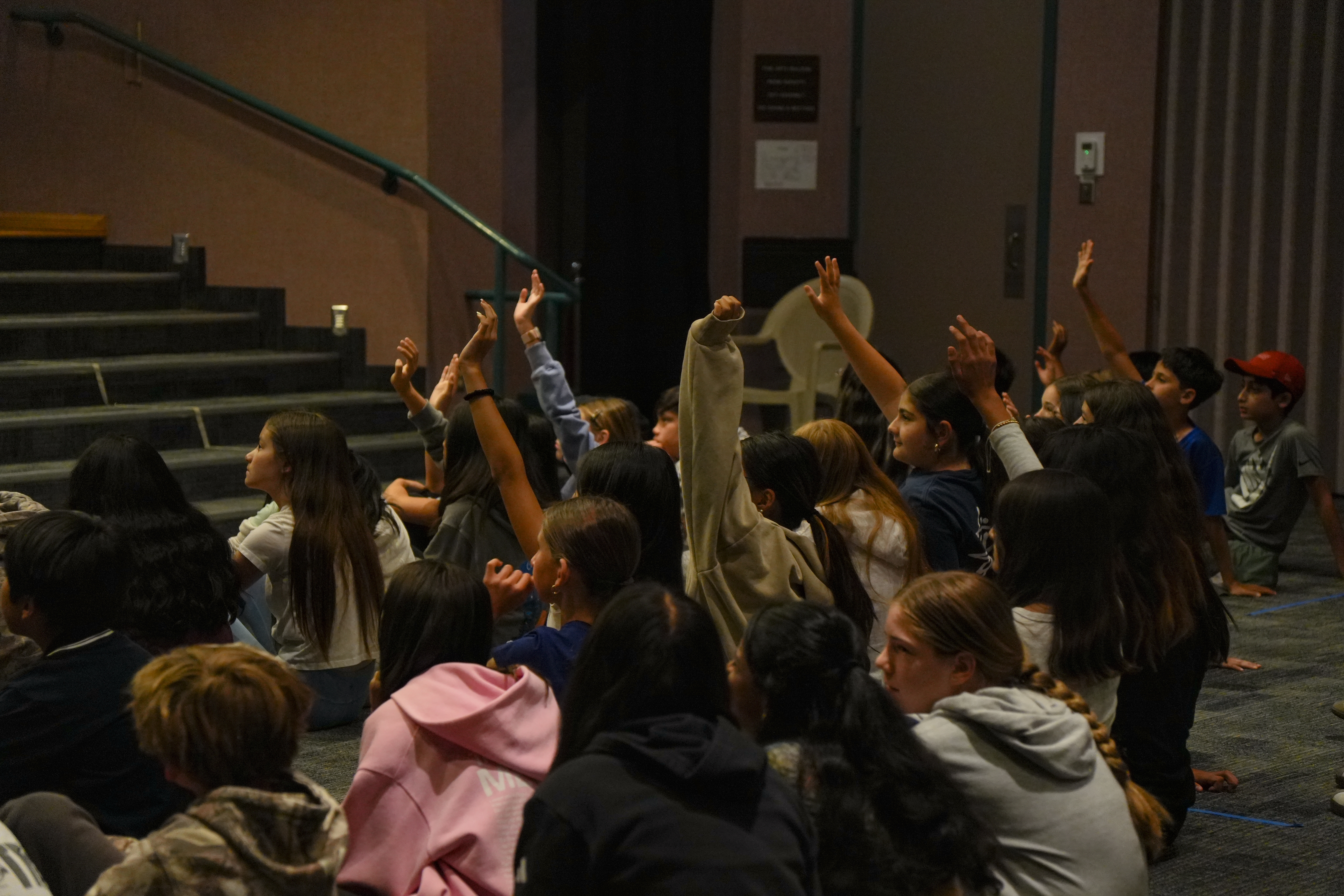Students raising their hands enthusiastically during FLI session